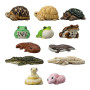 Figurine banpresto tenori friends mystery box serie 12 asst 12pcs - préco mars 2026 Figurine banpresto tenori friends mystery box serie 12 asst 12pcs - préco mars 2026