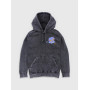 KPop Demon Hunters Chibi Derpy Tiger And Plant Corner Mineral Wash Sweatshirt à capuche - Import Septembre 2025