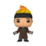 Pop funko home alone 2 harry - préco novembre 2025FUN80039b.jpg0889698800396