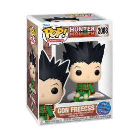 Pop funko hunter x sit gon freecss - préco décembre 2025 Pop funko hunter x sit gon freecss - préco décembre 2025FUN86533.jpg0889698865333