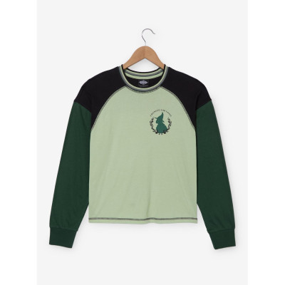 Wicked: For Good Elphaba For Good Women's Raglan Long manche T-Shirt - Import Janvier 202635013054_hi?$productMainDesktop$&fmt=