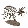 Bandai Hobby - Fossile Collection 1/32 Imaginary Skeleton Triceratops -www.lsj-collector.fr