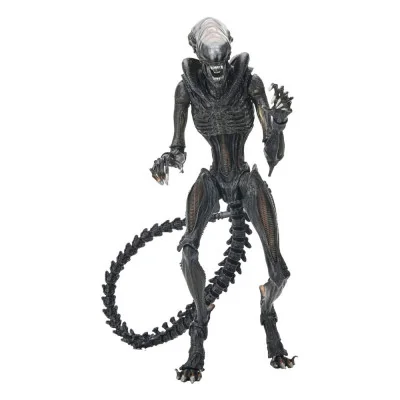 Neca - Alien Romulus Ultimate Af Scorched Xenomorph 23cm - arrivage février 2025 -www.lsj-collector.fr