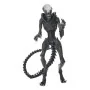 Neca - Alien Romulus Ultimate Af Scorched Xenomorph 23cm - arrivage février 2025 -