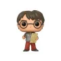 Funko - Harry Potter Pop Harry Marauder Map -www.lsj-collector.fr