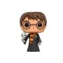 Funko - Harry Potter Pop Harry With Hedwidge Exclu -