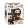 Funko - Harry Potter Pop Deluxe Azkaban Hagrid Animal Pelt Outfit -www.lsj-collector.fr