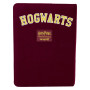 Loungefly - Harry Potter Loungefly Notebook Journal Hogwarts Quidditch - arrivage novembre 2024 -www.lsj-collector.fr