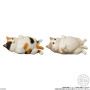 Mocchiri Kororin Squishy Soft Vinyl Cats 4,5cm Asst 12pcs - arrivage septembre 2025CT91944%201.jpg