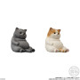 Mocchiri Kororin Squishy Soft Vinyl Cats 4,5cm Asst 12pcs - arrivage septembre 2025CT91944%202.jpg