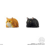 Mocchiri Kororin Squishy Soft Vinyl Cats 4,5cm Asst 12pcs - arrivage septembre 2025CT91944%204.jpg