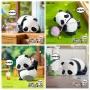 52toys - pandaroll 52toys mystery blind box panda as a cat boite de 8pcs - trading figure - février 2025FTT02314X.jpg