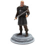 Dark horse the witcher 2 vesemir 24cm - figurineDHW8999.jpg0761568008999