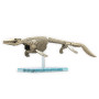 Bandai hobby dinosaure plastic model kit plannosaurus mosasaurus - dinosaure - préco avril 2025BANMK65321%203.jpg4573102653215