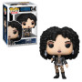Pop funko rocks cher turn back time Pop funko rocks cher turn back time