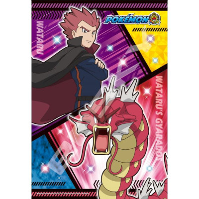 Ensky pokemon wataru & gyarados / leviator 300pcs - puzzle 300pcsPZ3001960.jpg4970381513535