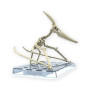 Dinosaure bandai hobby plastic model kit plannosaurus pteranodon - préco octobre 2025BANMK66282B.jpg4573102662828