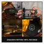 Diorama pantasy joyside series retro phonograph 35cm - préco mai 2025PTY85009C.jpg6973817321665