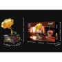Diorama pantasy joyside series retro phonograph 35cm - préco mai 2025PTY85009D.jpg6973817321665