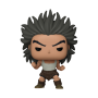 Pop funko hunter x uvoginFUN80345B.png0889698803458