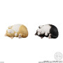 Trading figure banpresto mocchiri kororin squishy soft vinyl cats 4,5cm asst 12pcs - préco septembre 2025CT91944%203.jpg45701179