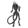 Figurine articulee neca alien romulus ultimate af scorched xenomorph 23cm - préco mars 2025NEC51741b.jpg0634482517413