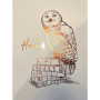 Poster letterpress arteonn harry potter artprint hedwige 30x40cm - préco juin 2025