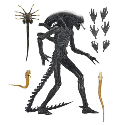 Figurine articulee neca alien romulus ultimate xenomorph xx121 18cm - préco décembre 2025NEC51742.jpg0634482517420