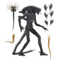Figurine articulee neca alien romulus ultimate xenomorph xx121 18cm - préco décembre 2025NEC51742.jpg0634482517420