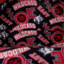 Sac a dos Loungefly High School Musical Wildcats - précommande juillet